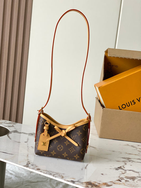 Louis Vuitton CarryAll Nano Bag